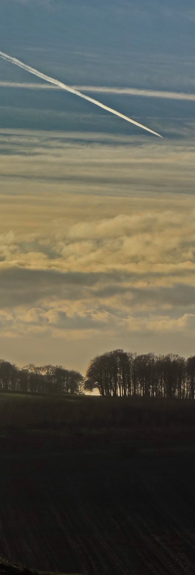 Beech On The Horizon